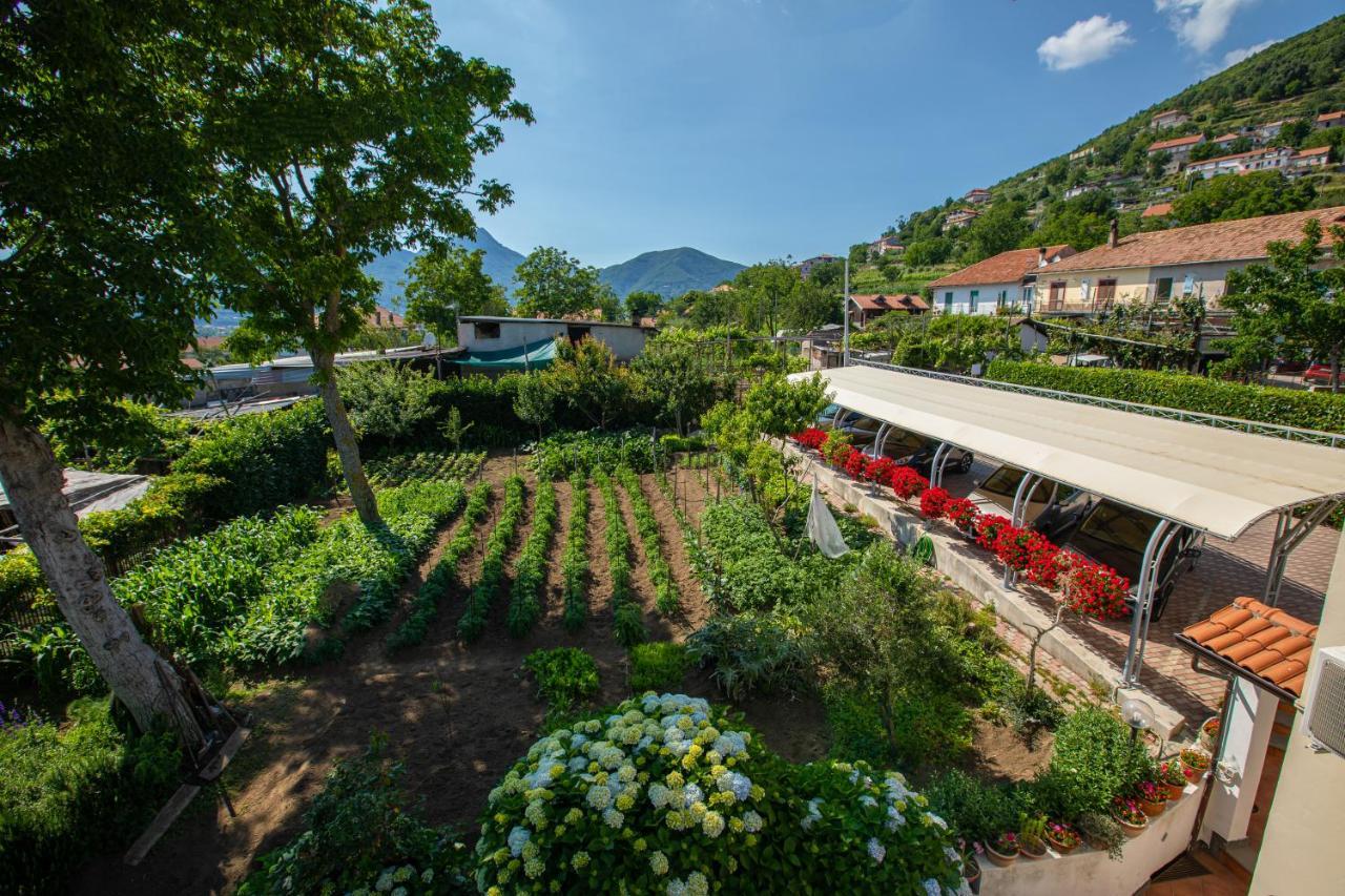Nido Degli Dei Villa Аджерола Екстериор снимка